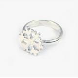 Little snowflake r...